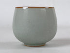 Japanese Ceramic Teacup Vtg Iris Flower Crackle Glaze White Yunomi Sencha TC406