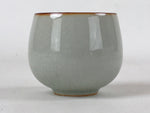 Japanese Ceramic Teacup Vtg Iris Flower Crackle Glaze White Yunomi Sencha TC408
