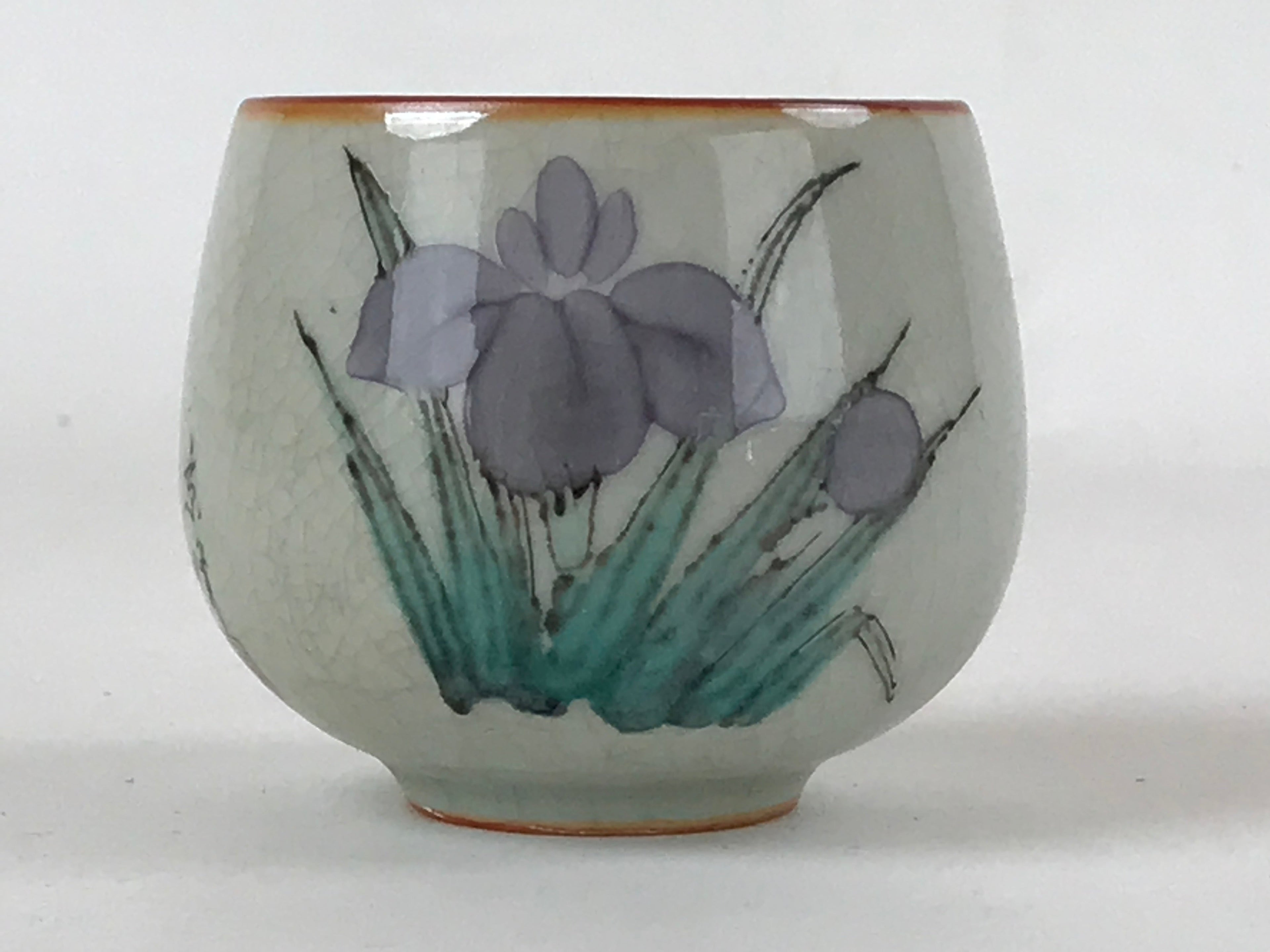 Japanese Ceramic Teacup Vtg Iris Flower Crackle Glaze White Yunomi Sencha TC409