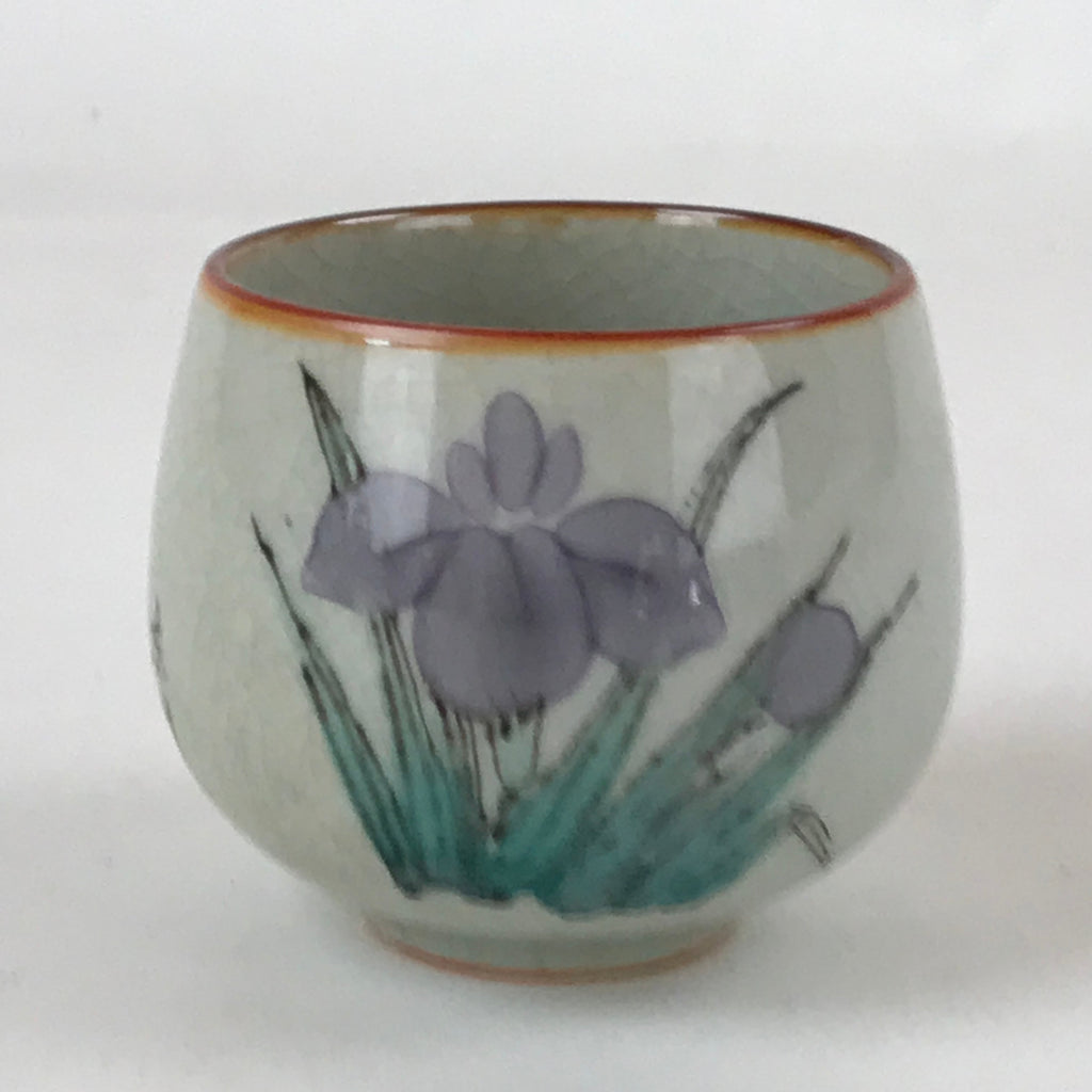 Japanese Ceramic Teacup Vtg Iris Flower Crackle Glaze White Yunomi Sencha TC409