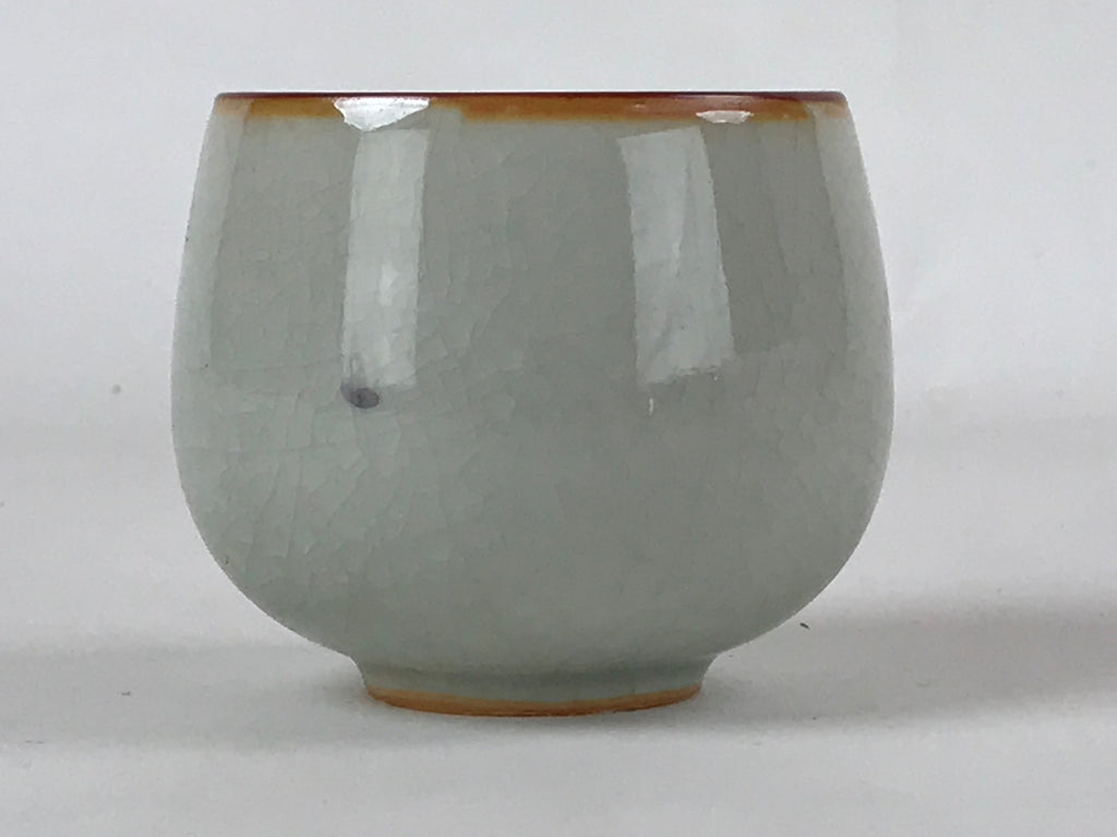 Japanese Ceramic Teacup Vtg Iris Flower Crackle Glaze White Yunomi Sencha TC411