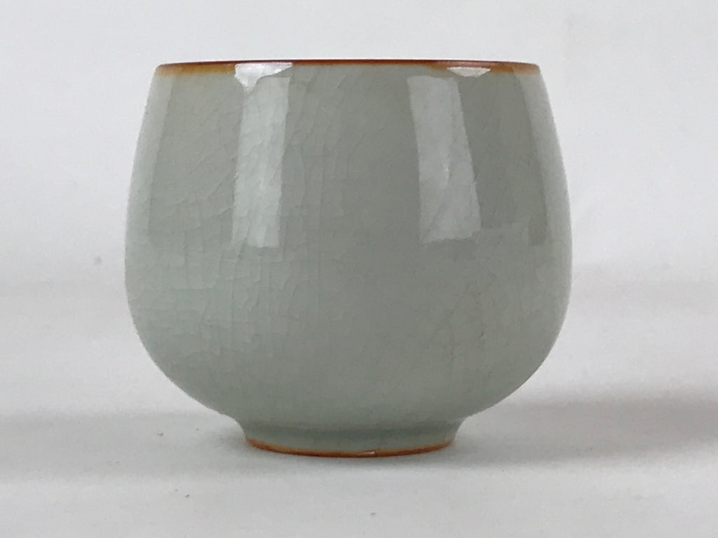 Japanese Ceramic Teacup Vtg Iris Flower Crackle Glaze White Yunomi Sencha TC412