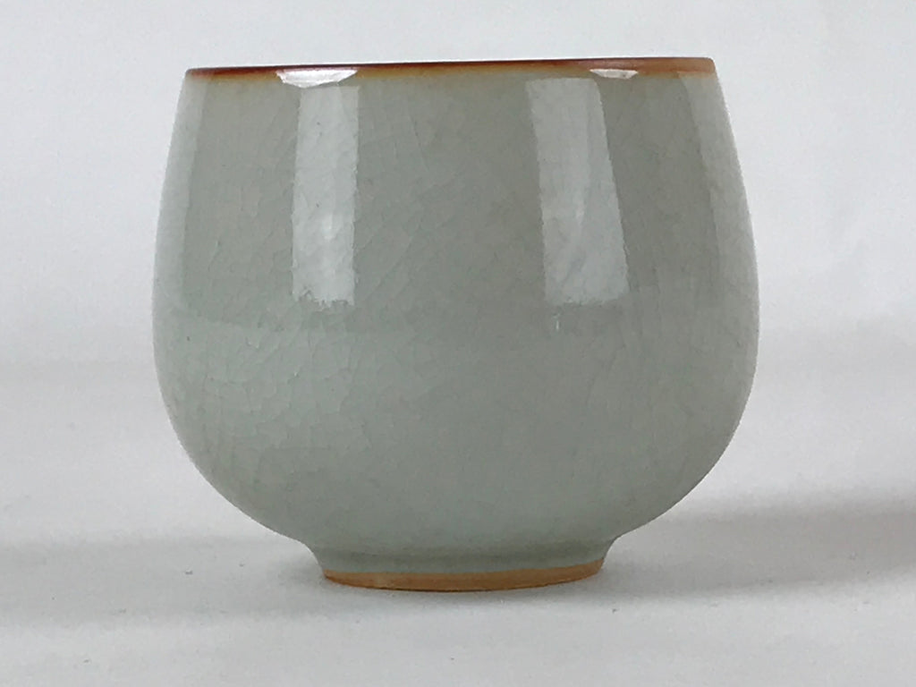 Japanese Ceramic Teacup Vtg Iris Flower Crackle Glaze White Yunomi Sencha TC413