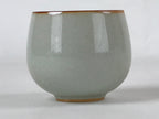 Japanese Ceramic Teacup Vtg Iris Flower Crackle Glaze White Yunomi Sencha TC413