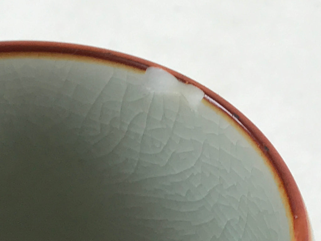 Japanese Ceramic Teacup Vtg Iris Flower Crackle Glaze White Yunomi Sencha TC415