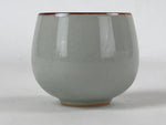 Japanese Ceramic Teacup Vtg Iris Flower Crackle Glaze White Yunomi Sencha TC415