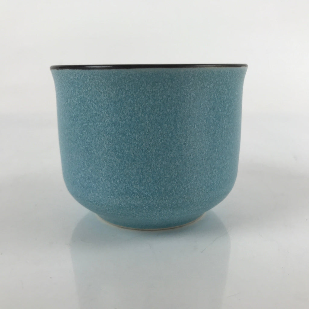 Japanese Ceramic Teacup Vtg Small Mug Sencha Yunomi Matte Light Blue TC431