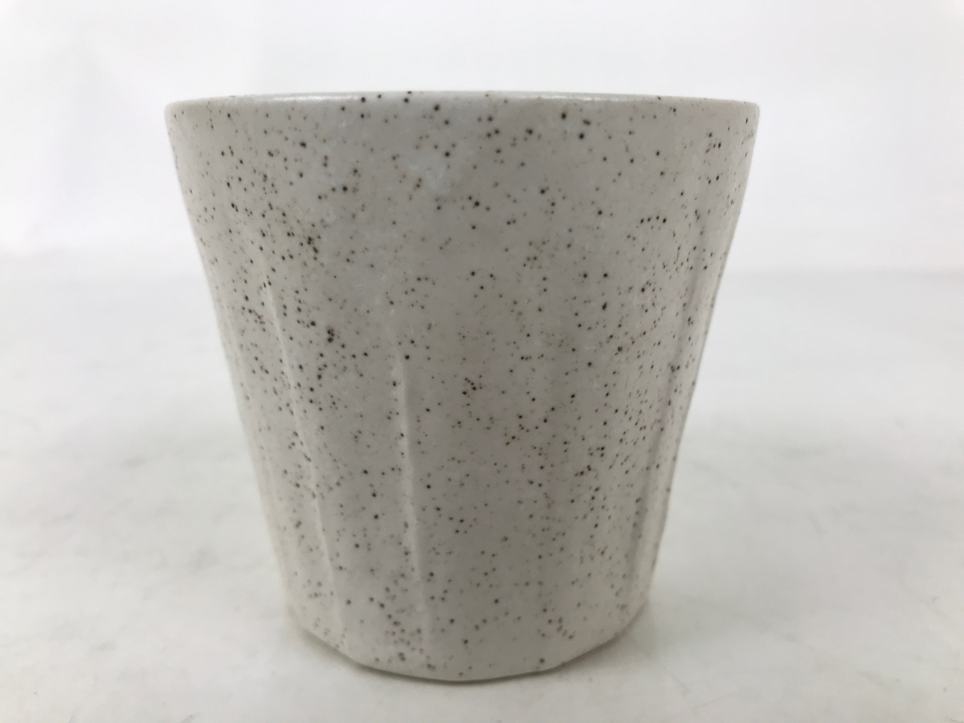 Japanese Ceramic Yunomi Teacup Simple Pottery White Black Specks Yakimono TC571