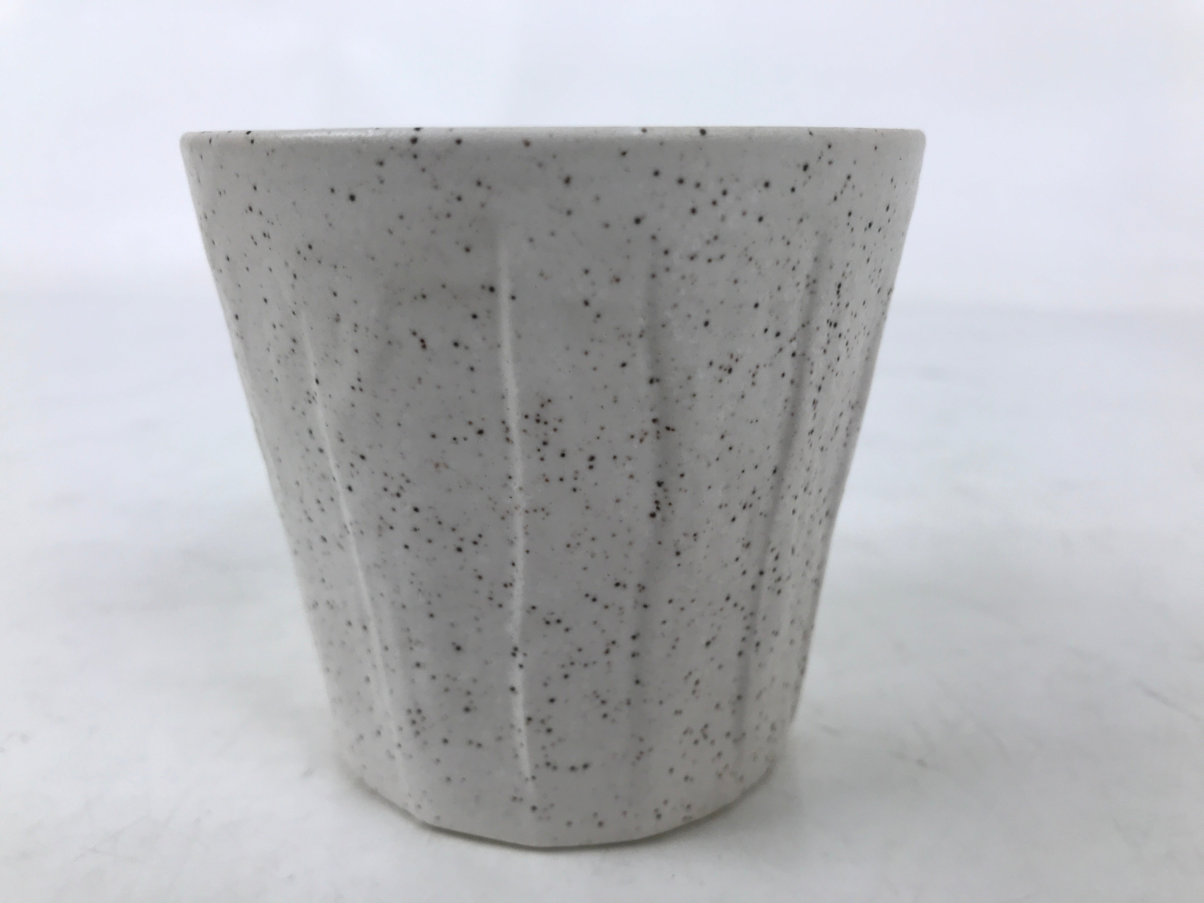 Japanese Ceramic Yunomi Teacup Simple Pottery White Black Specks Yakimono TC572