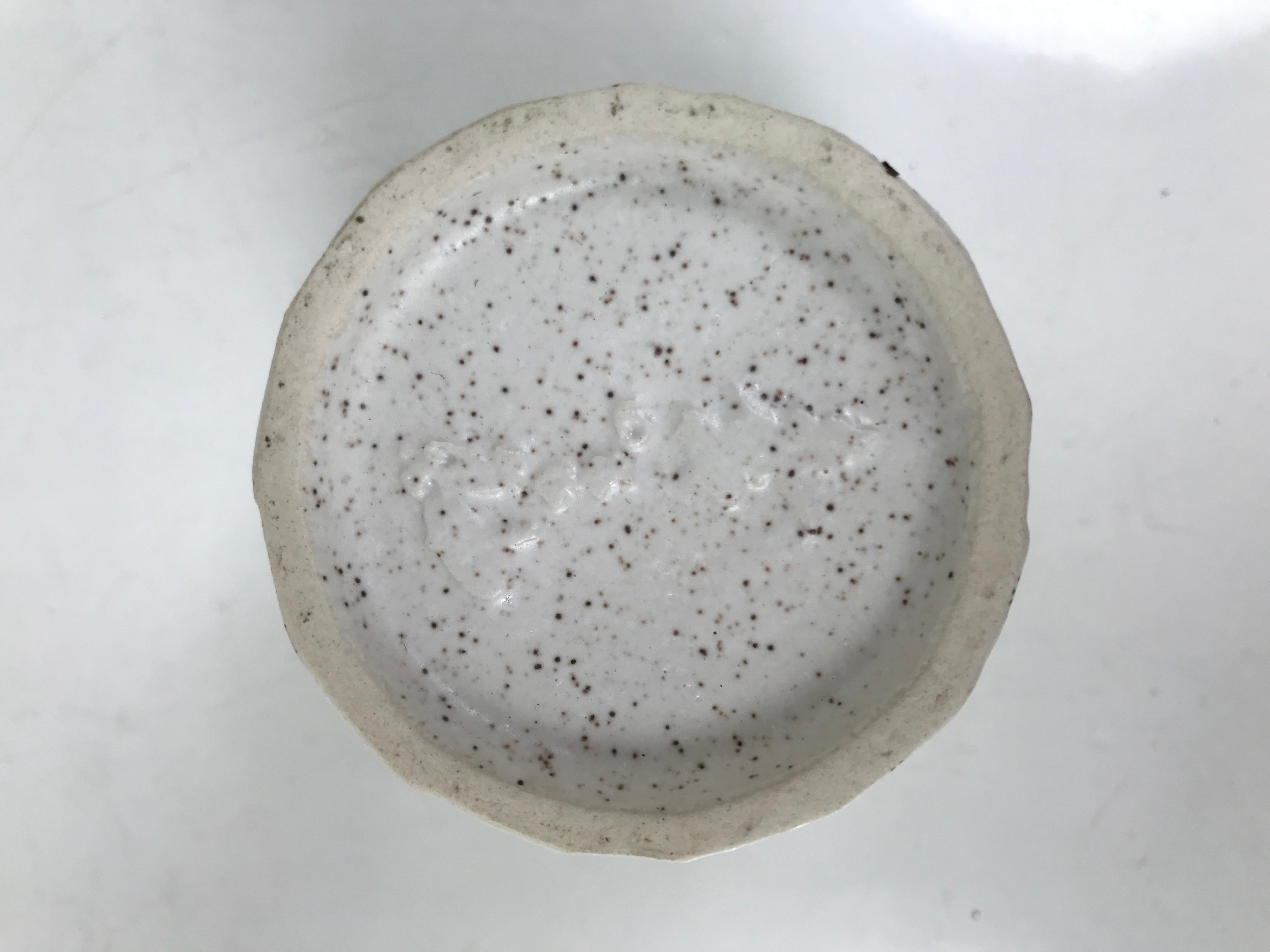 Japanese Ceramic Yunomi Teacup Simple Pottery White Black Specks Yakimono TC572