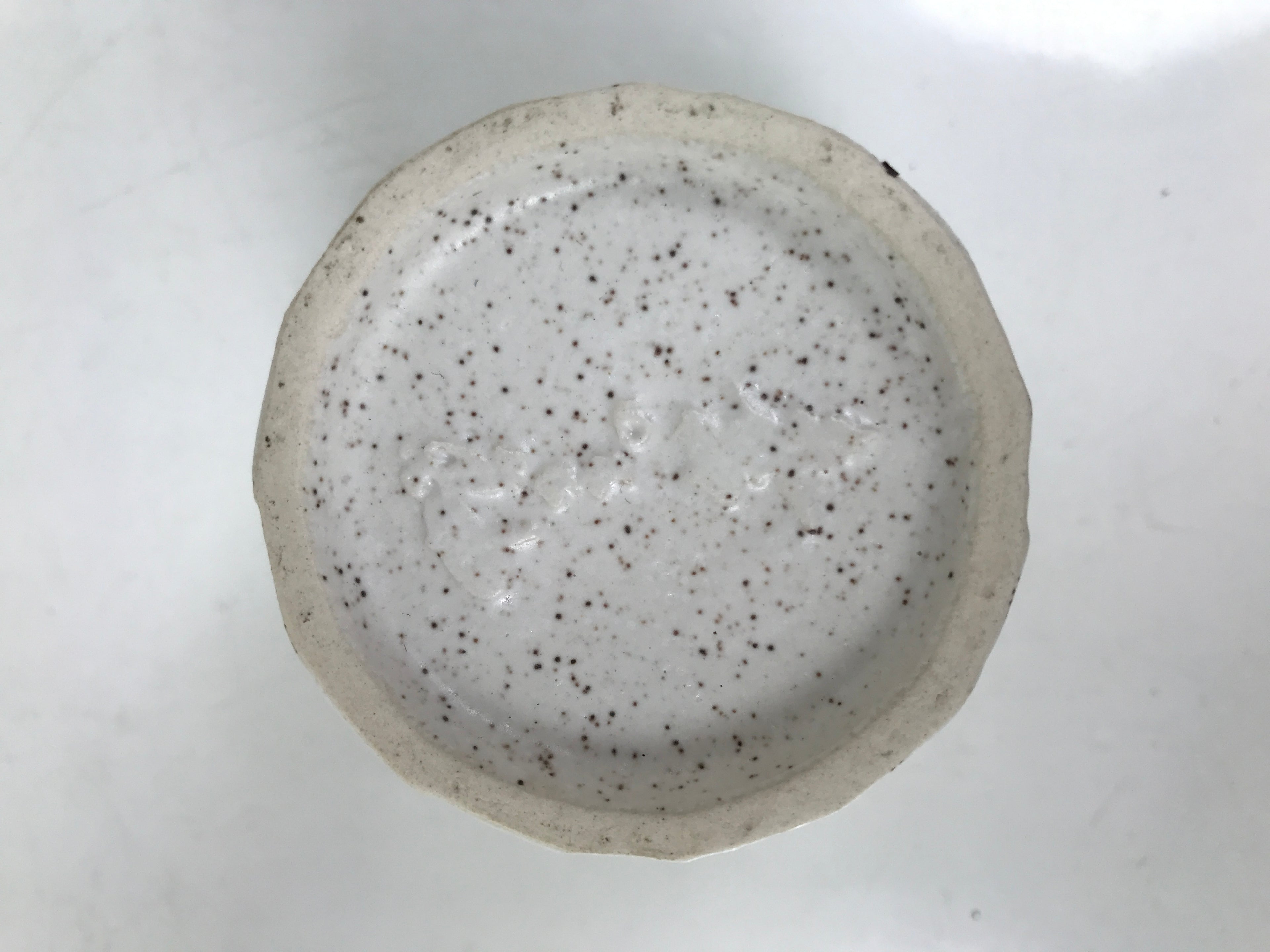 Japanese Ceramic Yunomi Teacup Simple Pottery White Black Specks Yakimono TC572