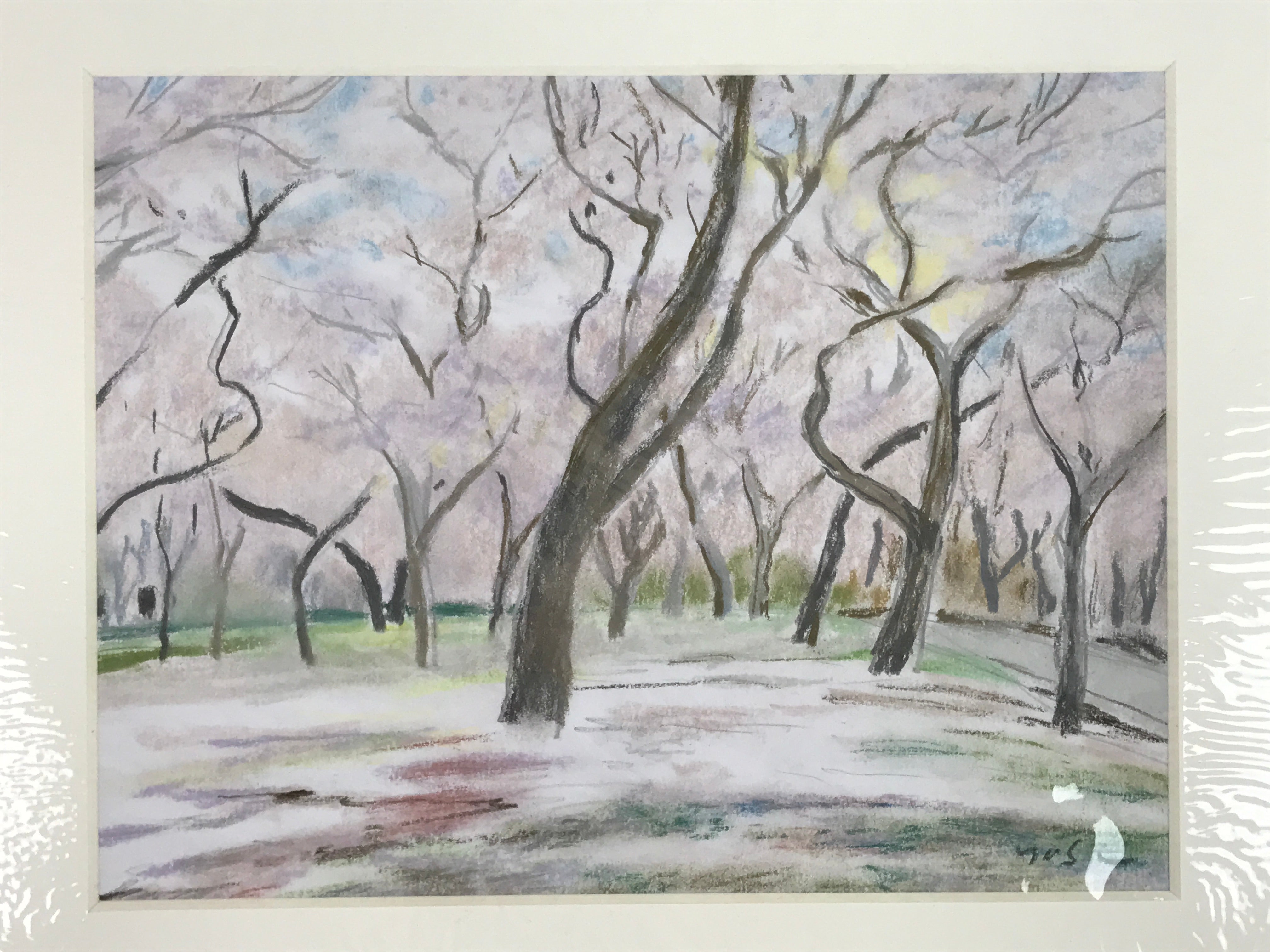 Japanese Cherry Blossom Trees Pastel Drawing Art Signed Yoshihiro Hagino FL341