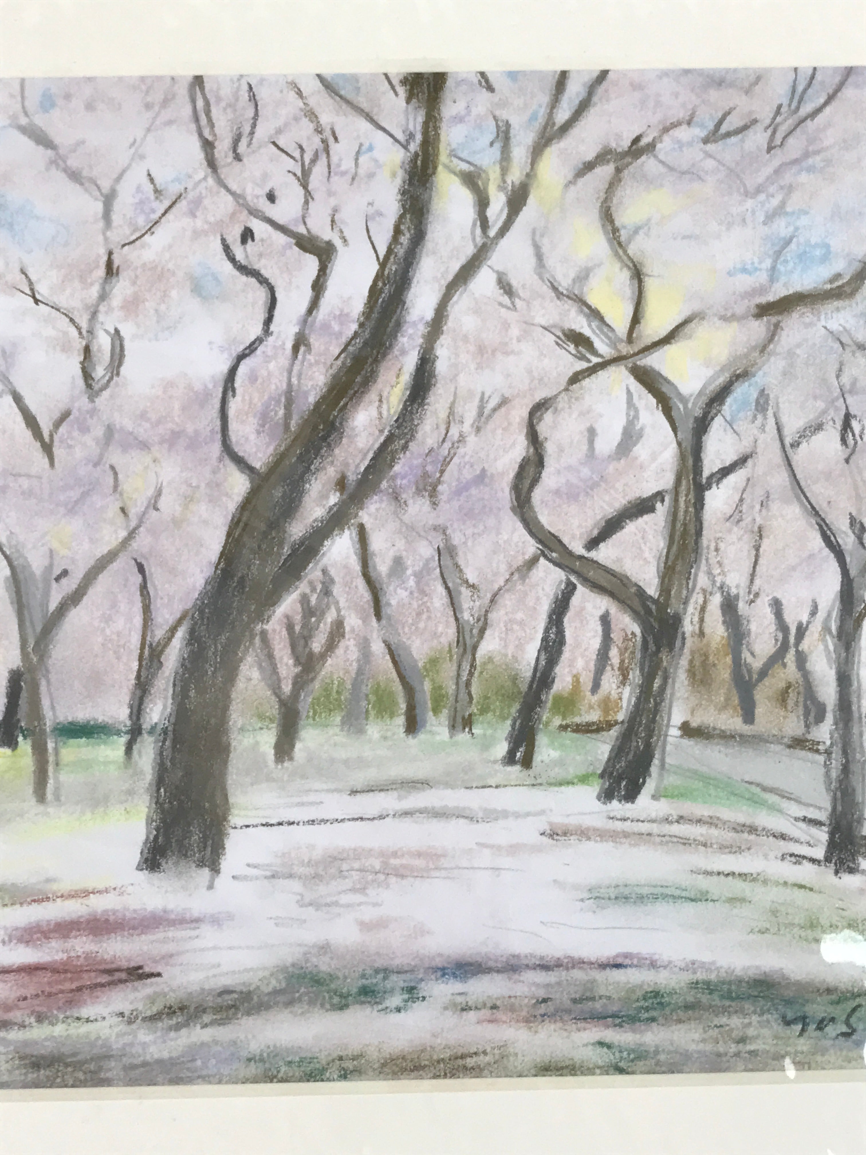 Japanese Cherry Blossom Trees Pastel Drawing Art Signed Yoshihiro Hagino FL341