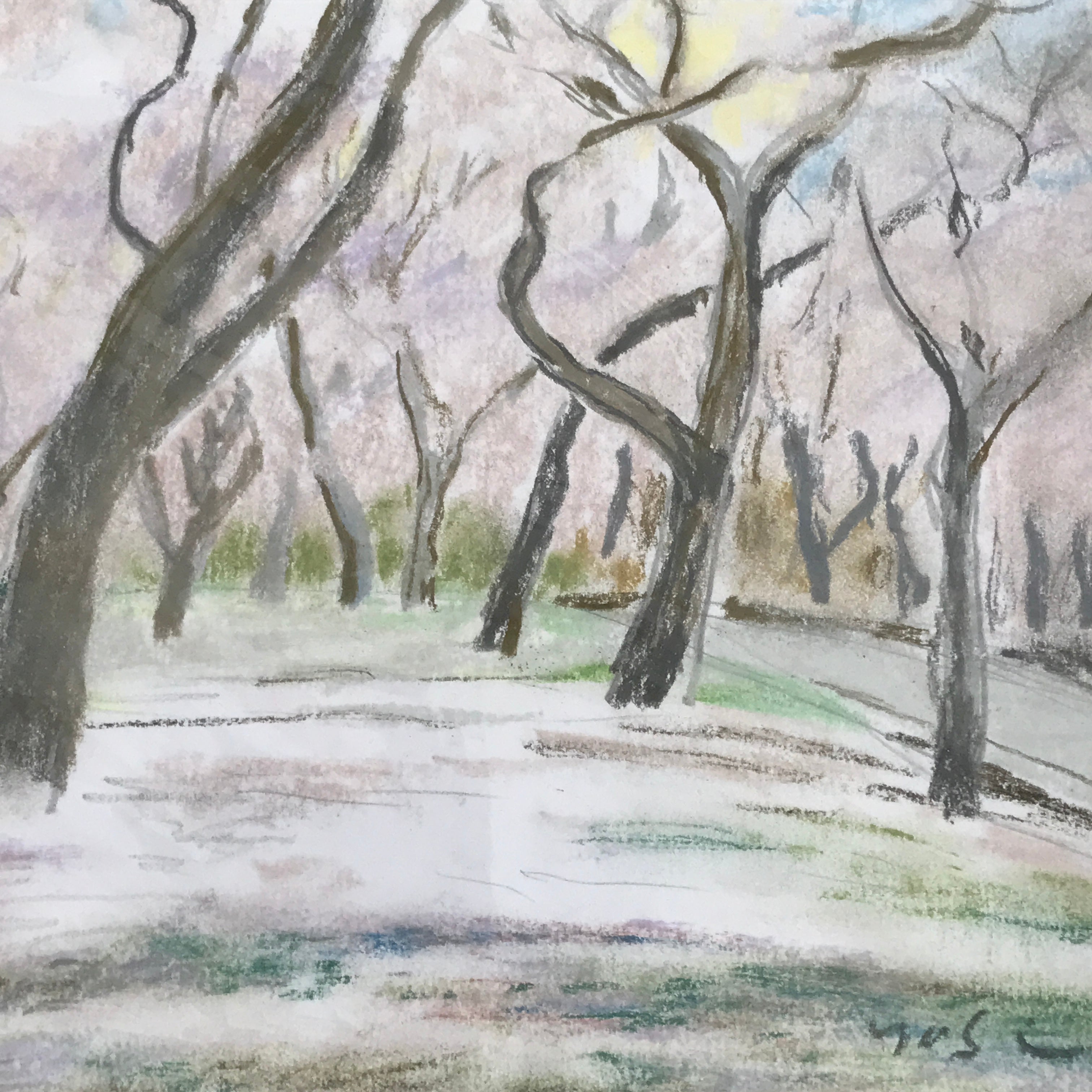 Japanese Cherry Blossom Trees Pastel Drawing Art Signed Yoshihiro Hagino FL341