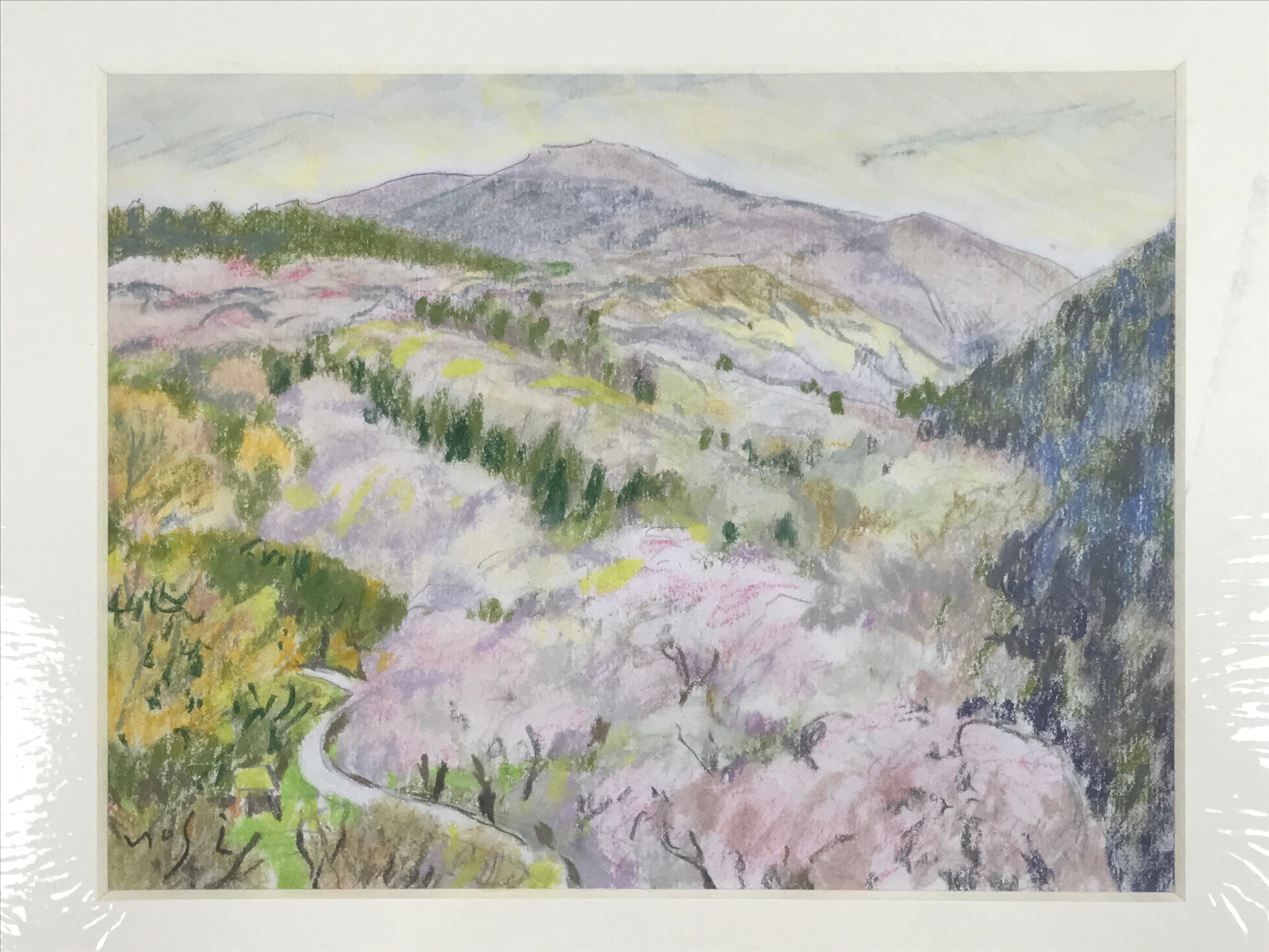 Japanese Cherry Blossom Valley Pastel Drawing Art Signed Yoshihiro Hagino FL301