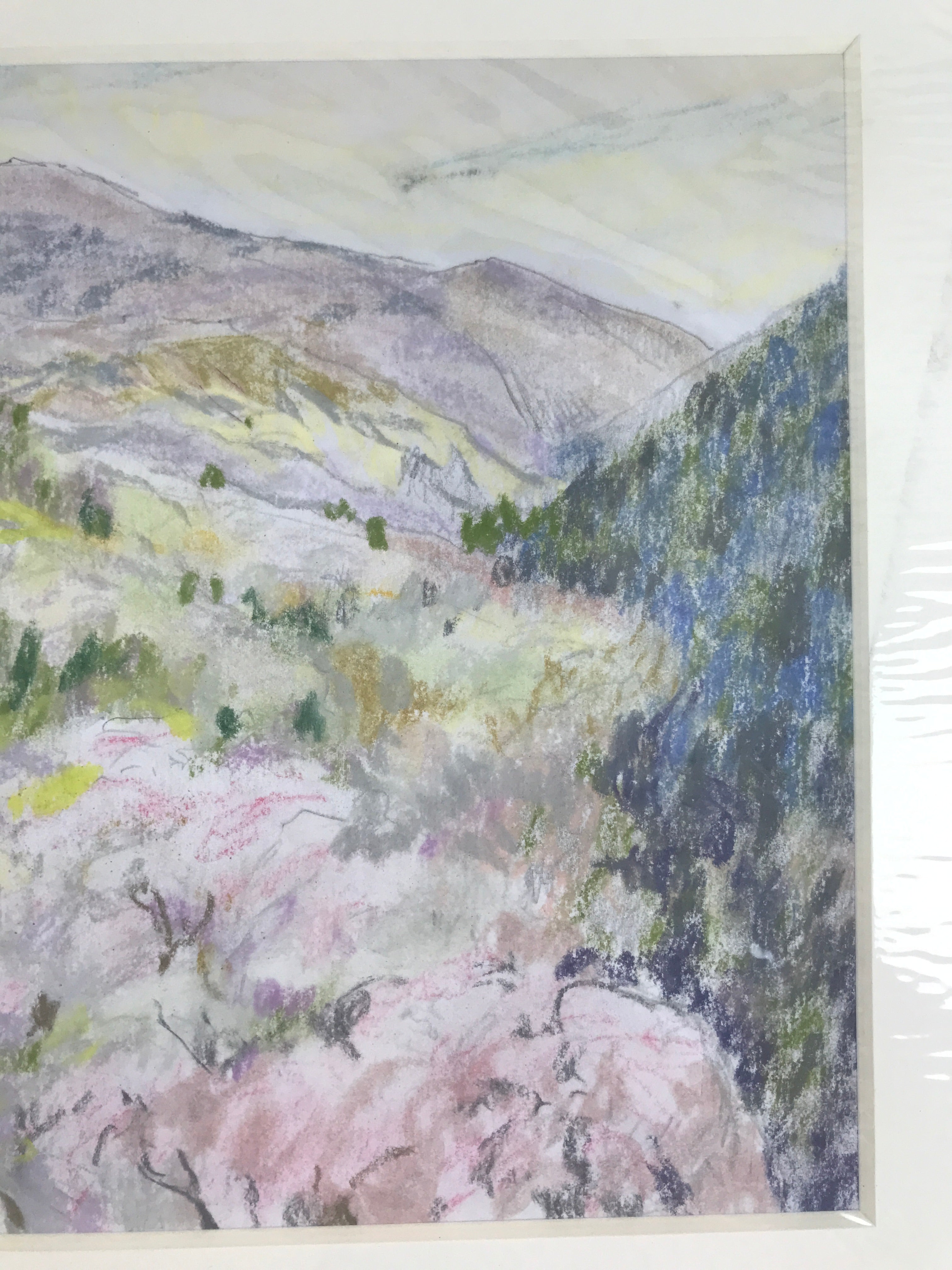Japanese Cherry Blossom Valley Pastel Drawing Art Signed Yoshihiro Hagino FL301
