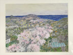 Japanese Cherry Blossom View Pastel Drawing Art Signed Yoshihiro Hagino FL319