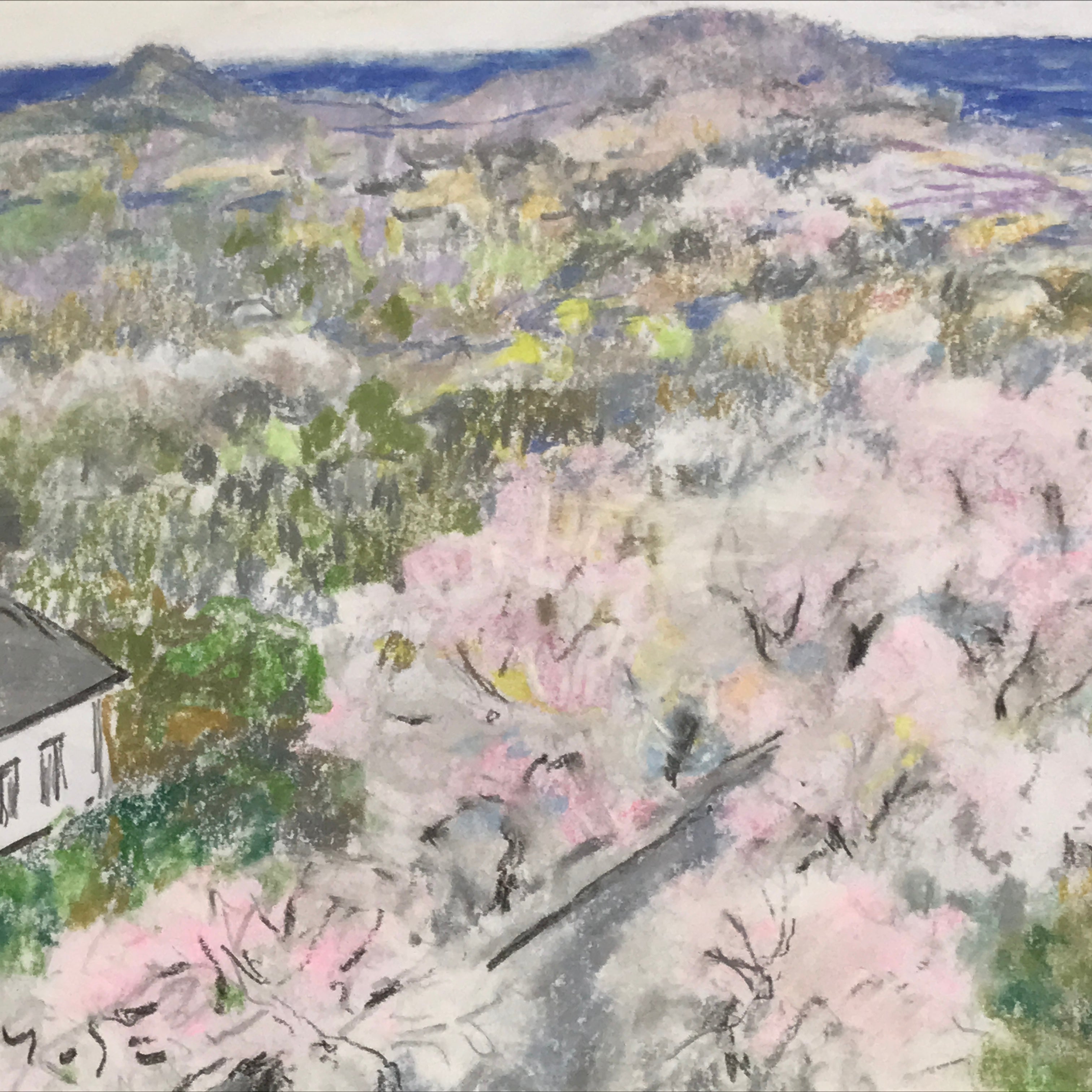 Japanese Cherry Blossom View Pastel Drawing Art Signed Yoshihiro Hagino FL319