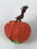 Japanese Clay Bell Dorei Chinese Lantern Plant Tsuchi-Suzu Hozuki Orange DR616