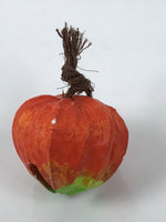 Japanese Clay Bell Dorei Chinese Lantern Plant Tsuchi-Suzu Hozuki Orange DR616