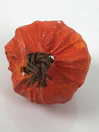 Japanese Clay Bell Dorei Chinese Lantern Plant Tsuchi-Suzu Hozuki Orange DR616