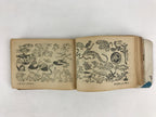Japanese Drawing Sketch Illustration Reference Book Children Vtg 1951 JK566