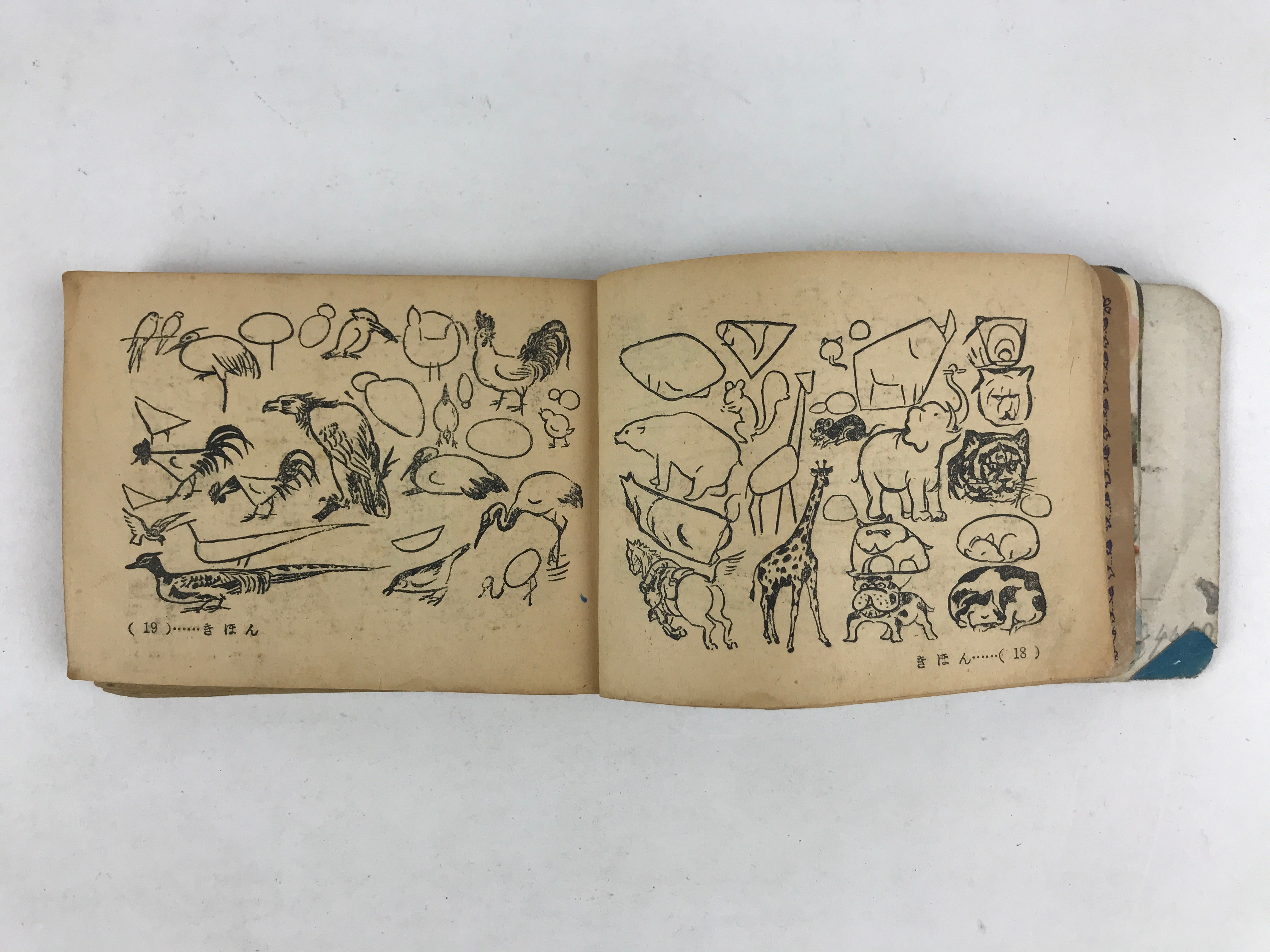 Japanese Drawing Sketch Illustration Reference Book Children Vtg 1951 JK566