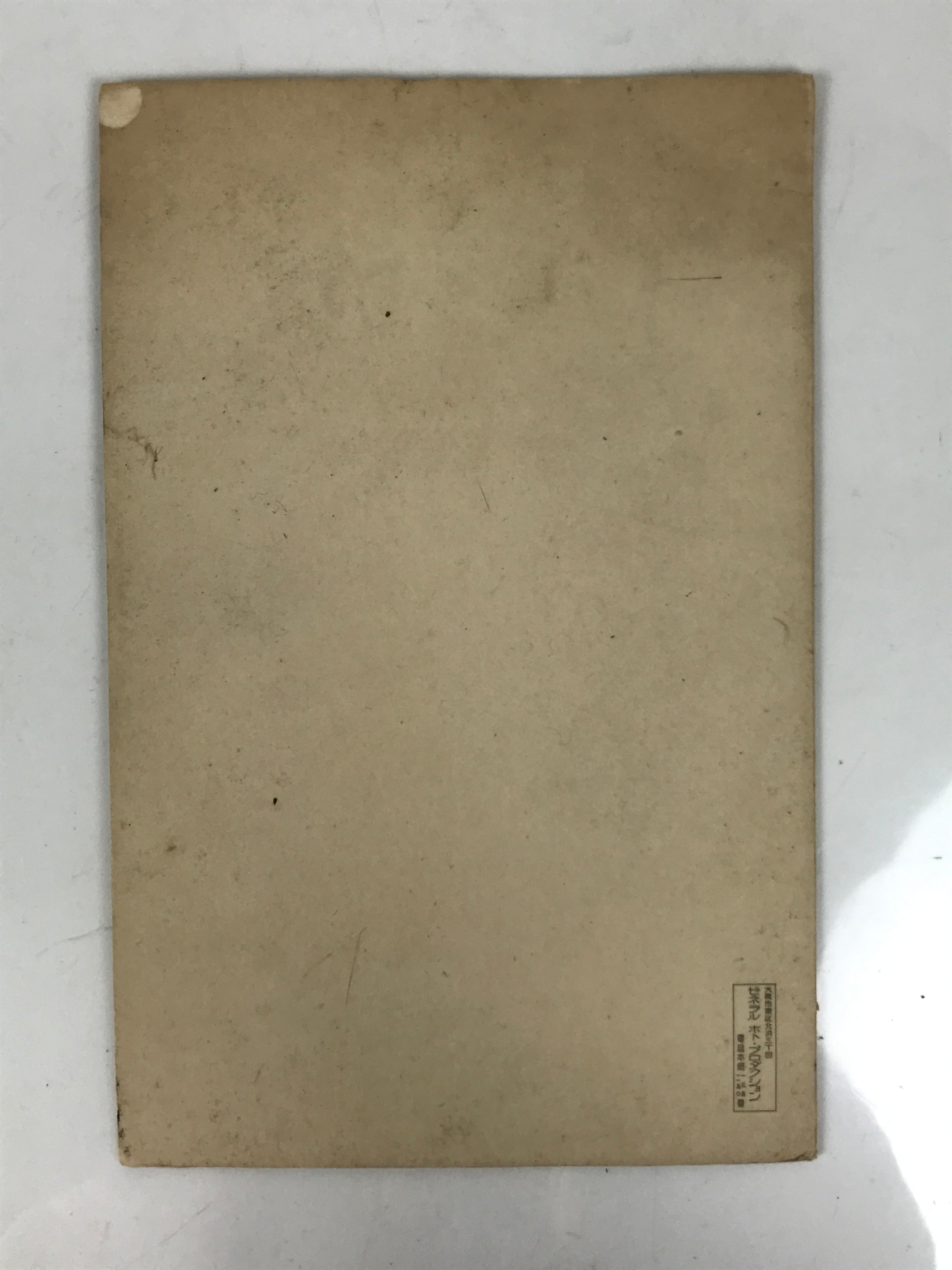Japanese Early Showa Young Family Portrait Photograph Vtg Posed Sepia Tone PH20