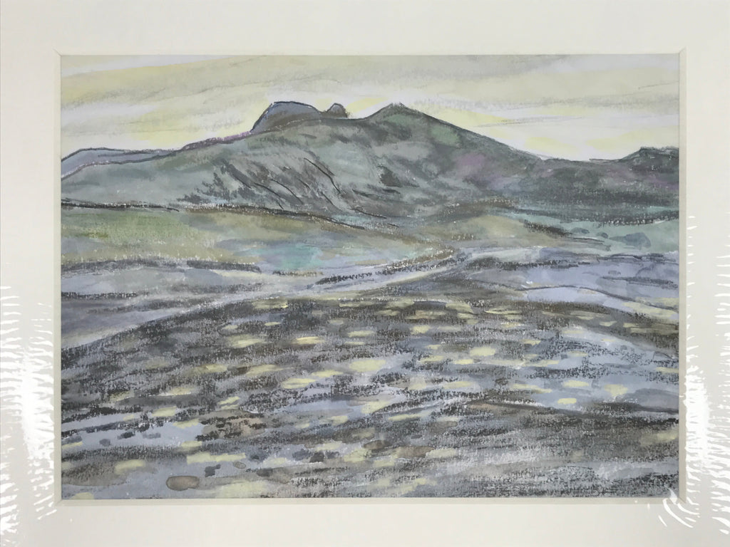 Japanese Evening Countryside Landscape Pastel Drawing Art Unsigned FL318