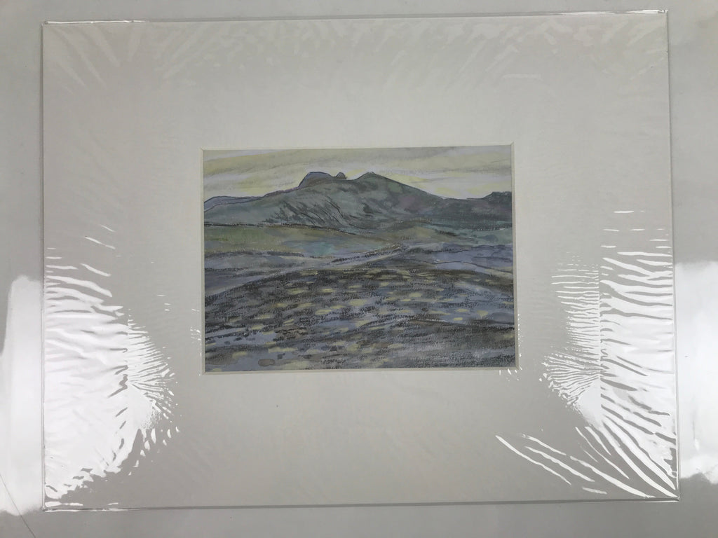 Japanese Evening Countryside Landscape Pastel Drawing Art Unsigned FL318