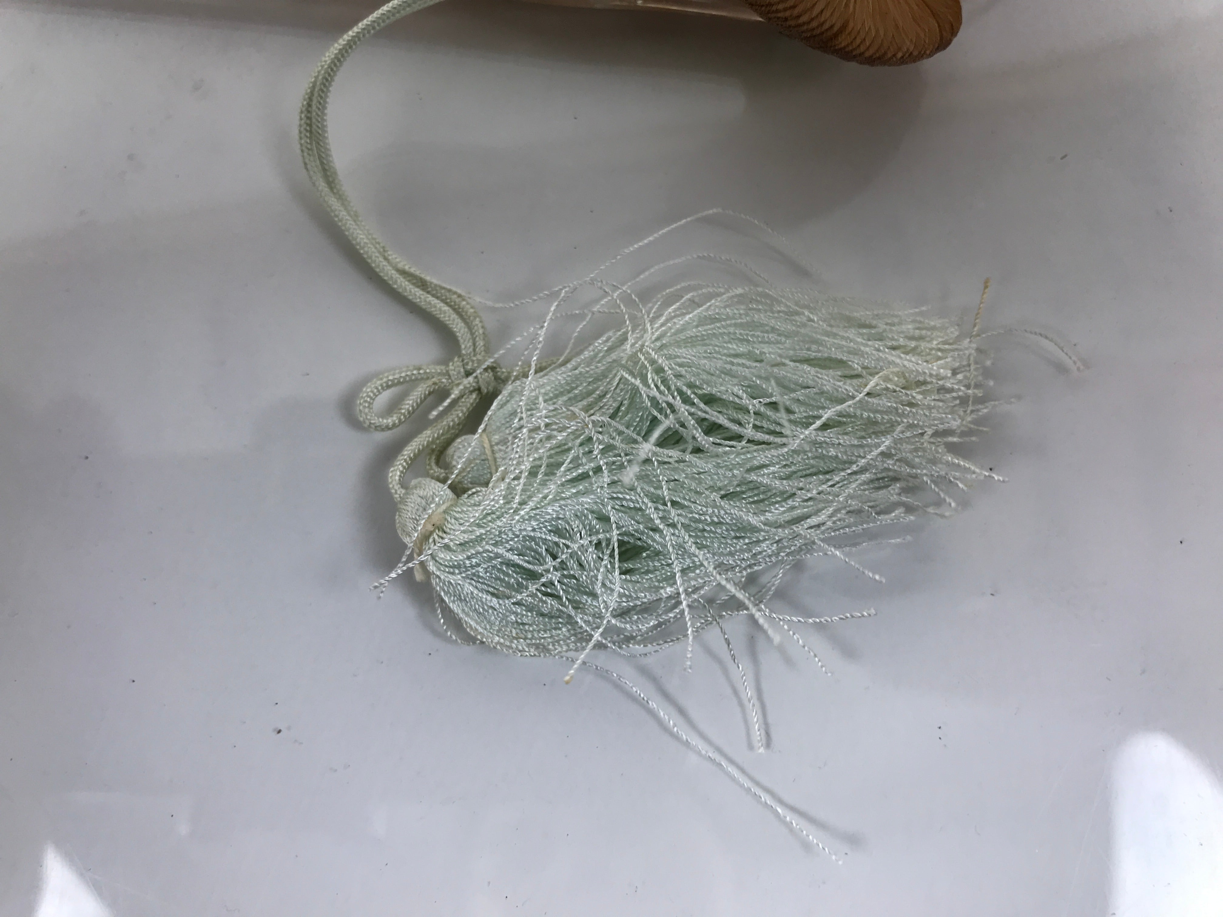 Japanese Fabric Folding Fan Sensu Bamboo Frame White Peacock Bird Green 4D918