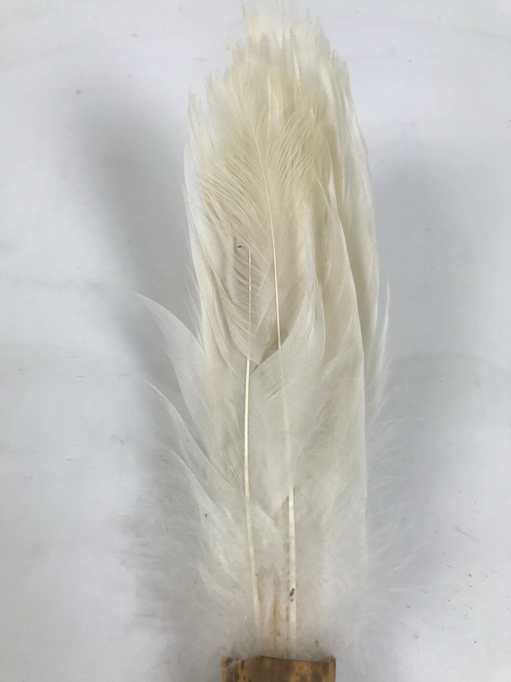 Japanese Feather Brush Broom Haboki Vtg Tsumami Hane Tea Ceremony Sado JK942