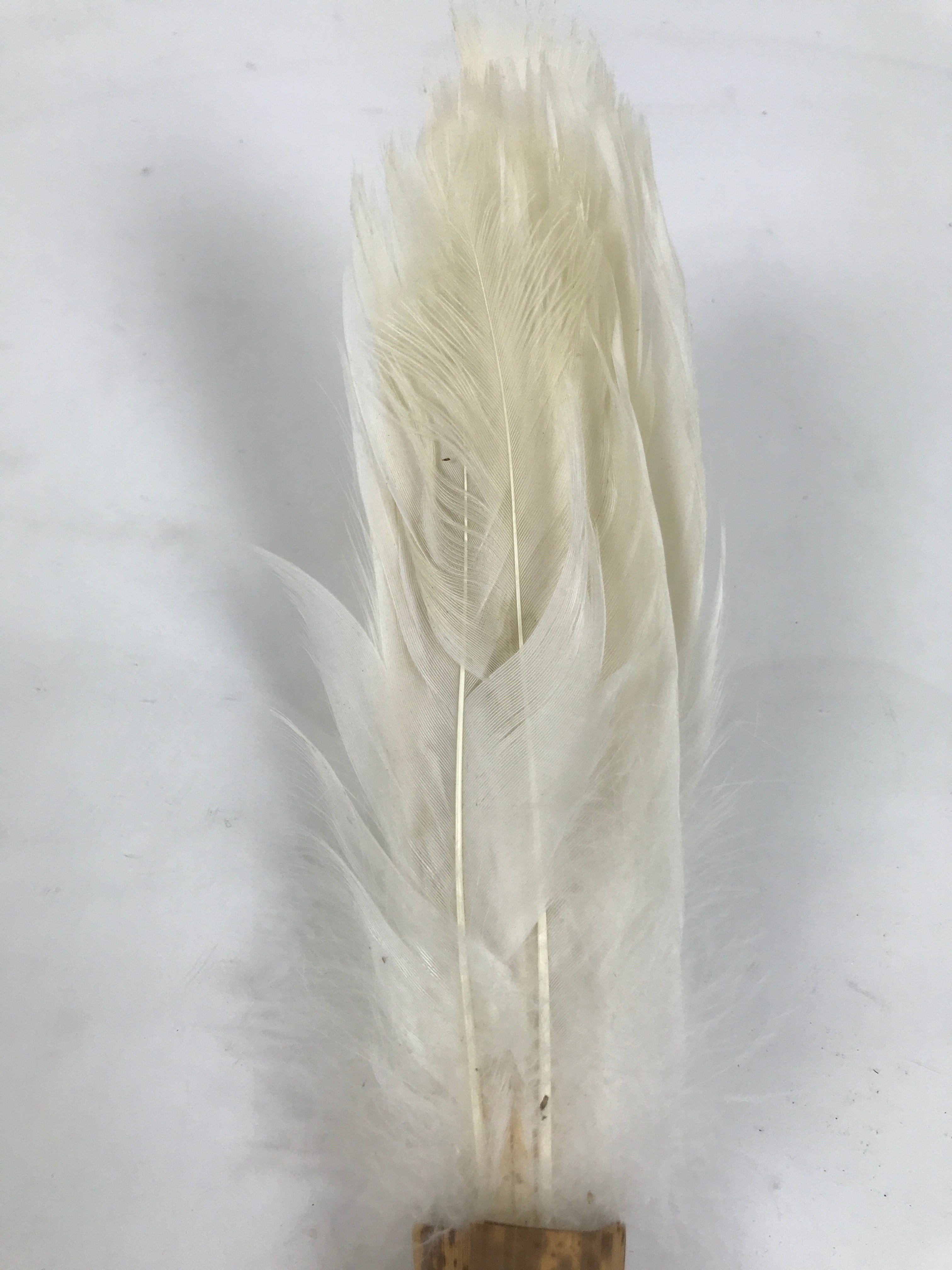 Japanese Feather Brush Broom Haboki Vtg Tsumami Hane Tea Ceremony Sado JK942