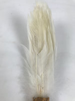 Japanese Feather Brush Broom Haboki Vtg Tsumami Hane Tea Ceremony Sado JK942