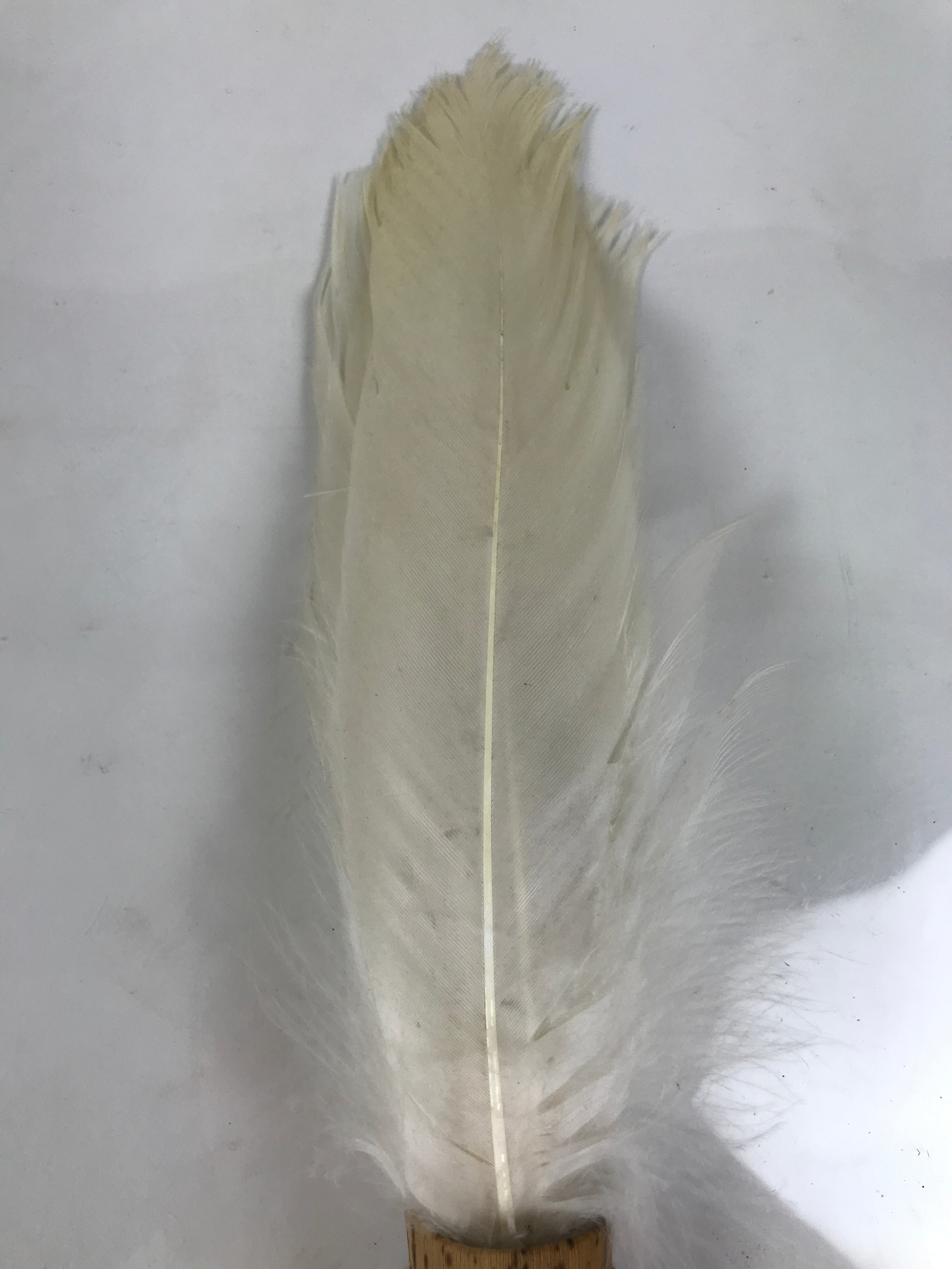 Japanese Feather Brush Broom Haboki Vtg Tsumami Hane Tea Ceremony Sado JK942