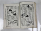 Japanese Feng Shui Book Vtg Kasou House Fortune Architecture Illustrated BA608