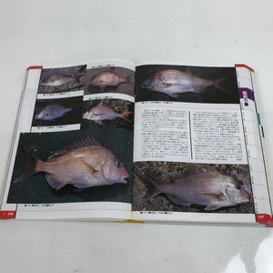 Japanese Fish New Color Guide Book For Sportfishermen 1995 Encyclopedia HN12