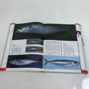 Japanese Fish New Color Guide Book For Sportfishermen 1995 Encyclopedia HN12