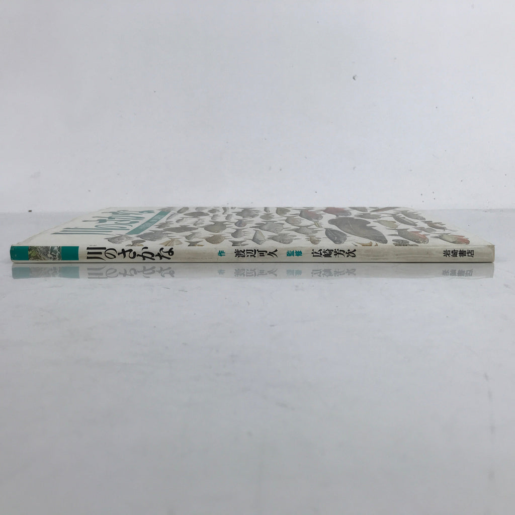Japanese Fish Of The River Illustrated Book C1990 Full Color Kids Encyclopedia H