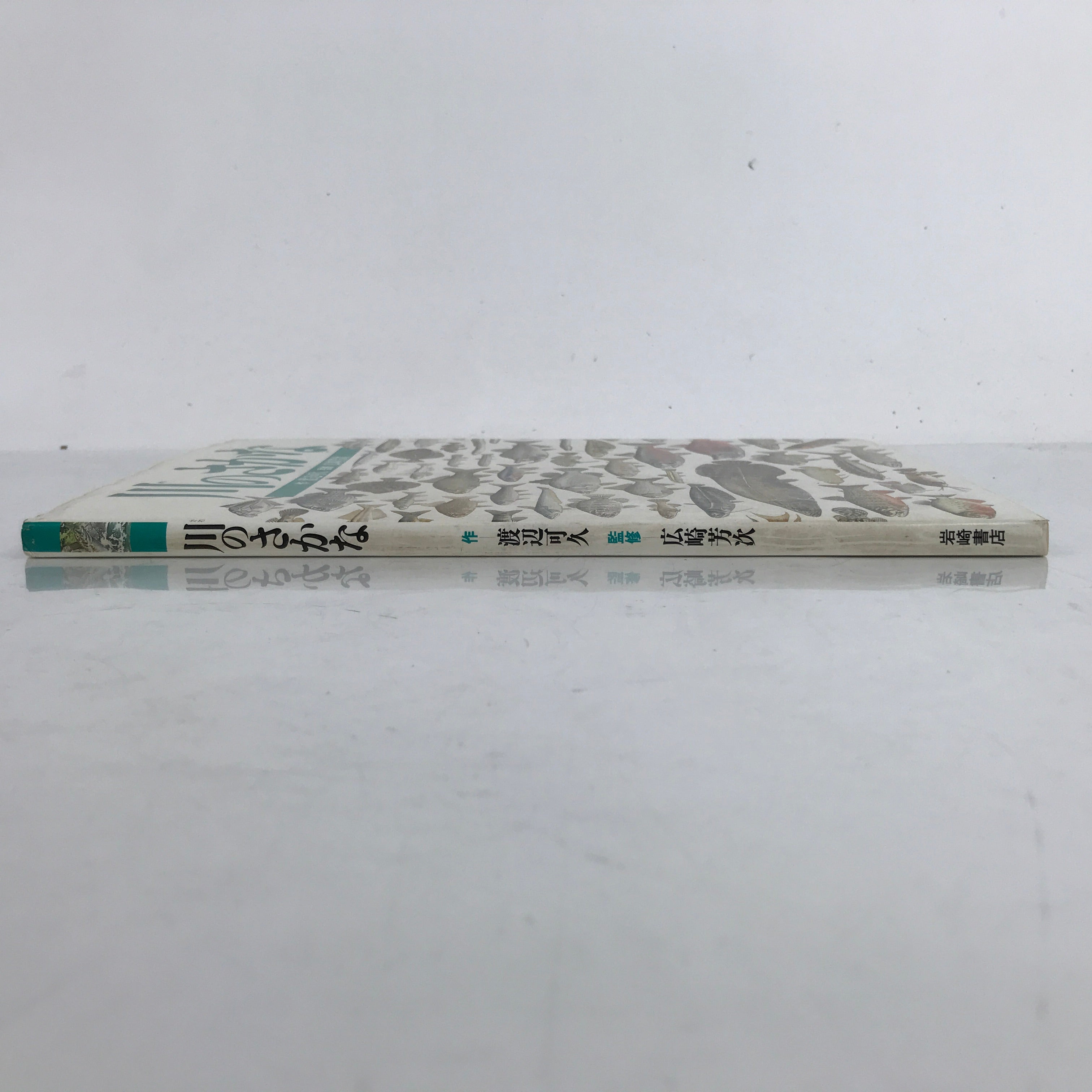 Japanese Fish Of The River Illustrated Book C1990 Full Color Kids Encyclopedia H