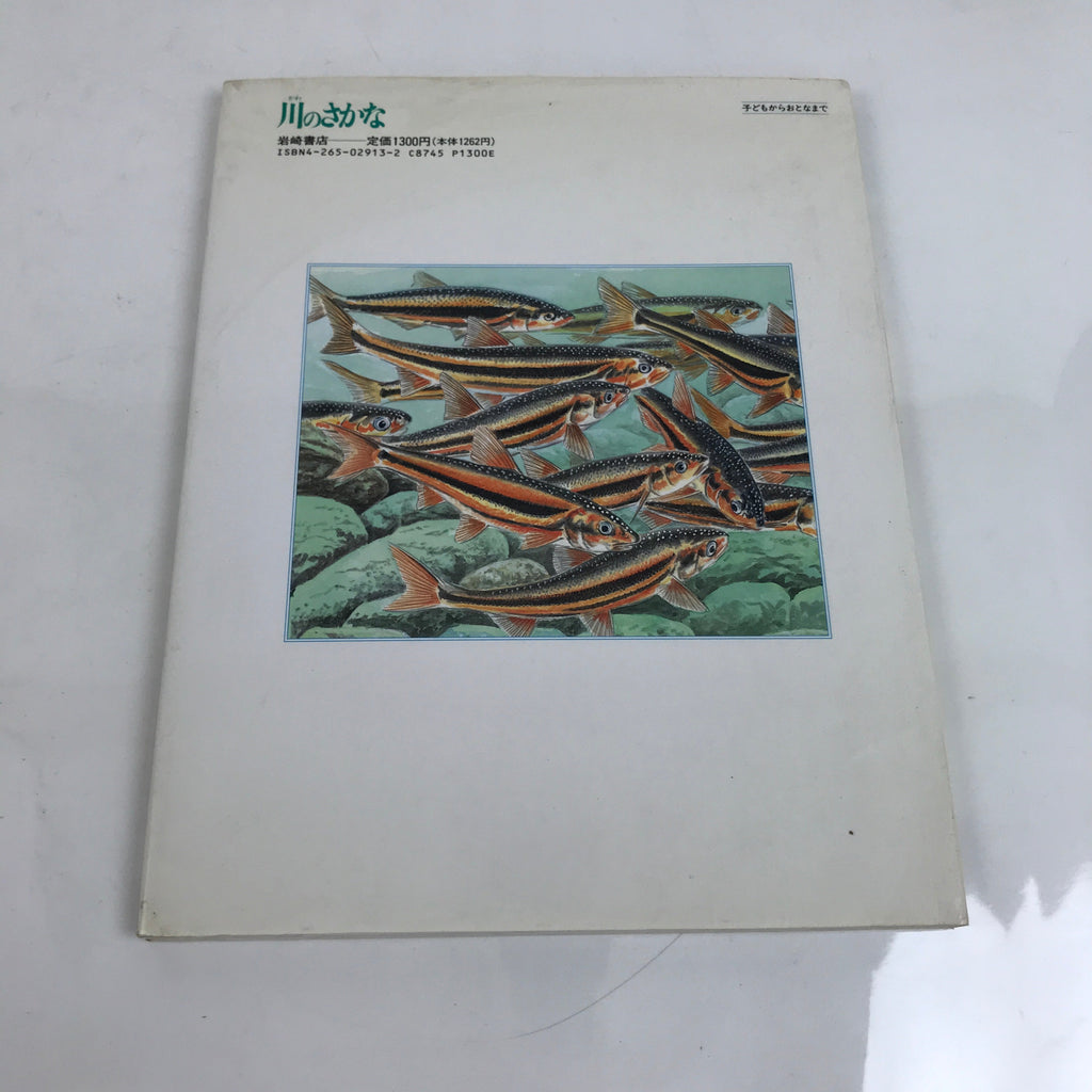 Japanese Fish Of The River Illustrated Book C1990 Full Color Kids Encyclopedia H