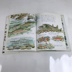 Japanese Fish Of The River Illustrated Book C1990 Full Color Kids Encyclopedia H