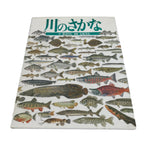 Japanese Fish Of The River Illustrated Book C1990 Full Color Kids Encyclopedia H