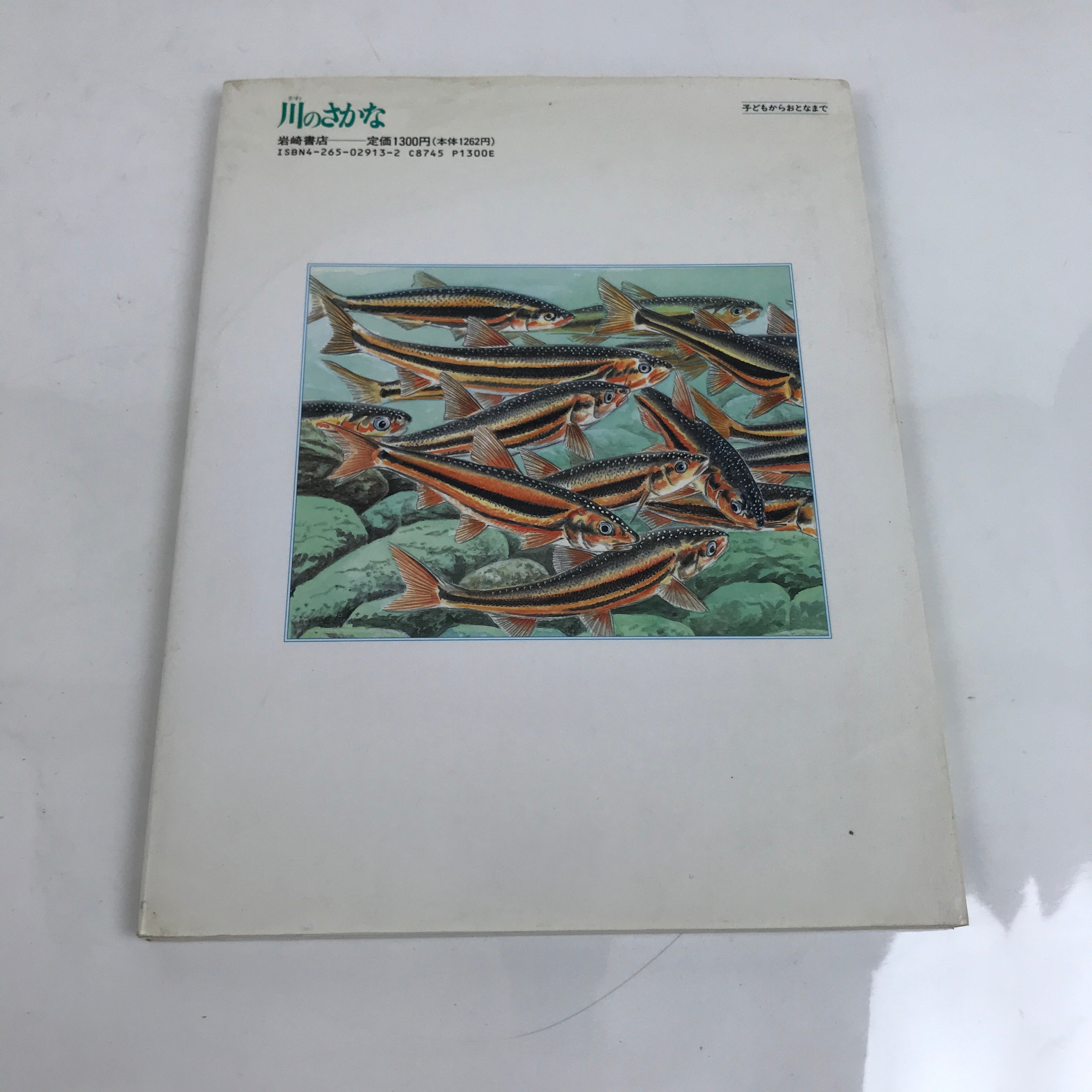 Japanese Fish Of The River Illustrated Book C1990 Kids Encyclopedia HN4