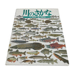 Japanese Fish Of The River Illustrated Book C1990 Kids Encyclopedia HN4