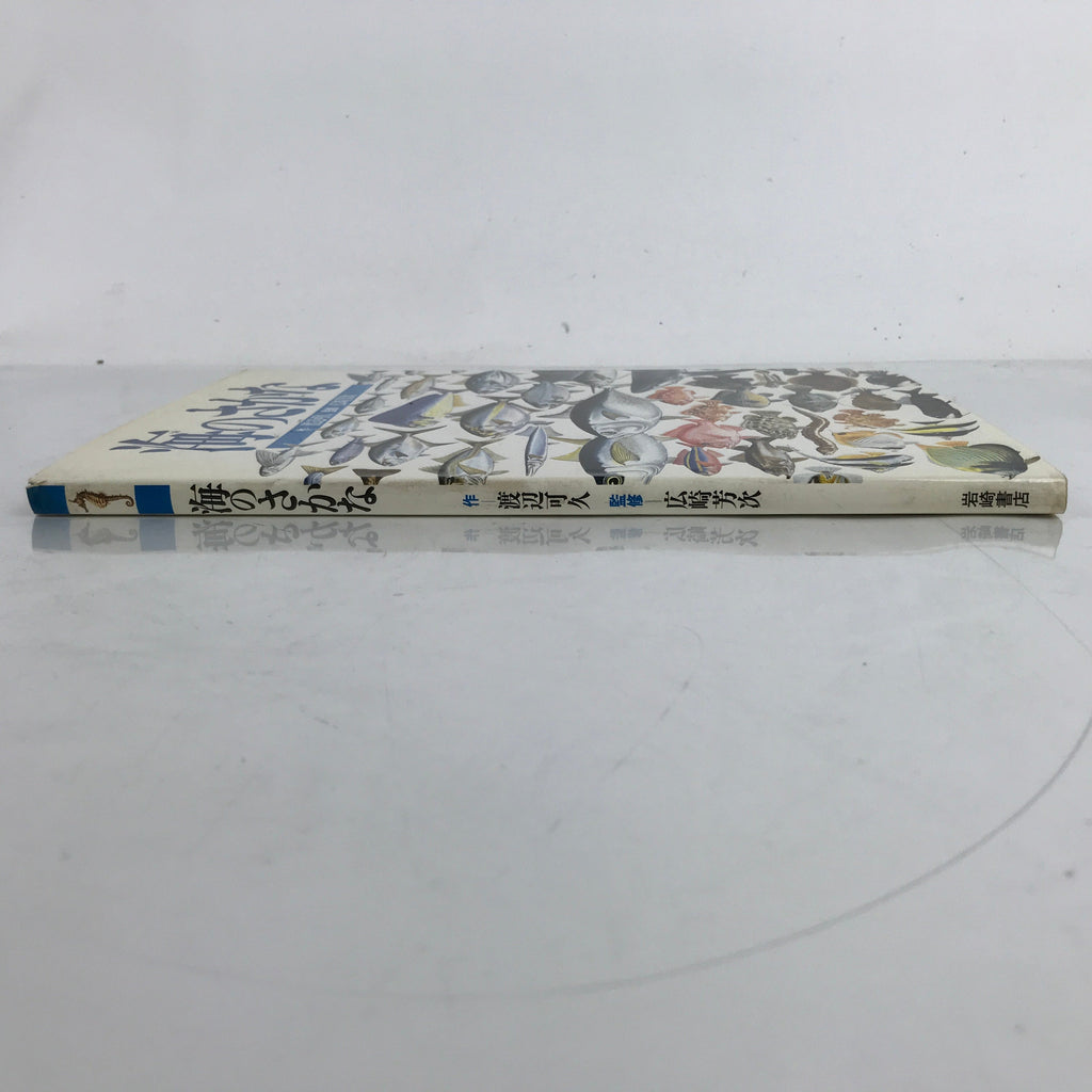 Japanese Fish Of The Sea Illustrated Book C1990 Full Color Kids Encyclopedia HN3