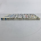 Japanese Fish Of The Sea Illustrated Book C1990 Full Color Kids Encyclopedia HN3