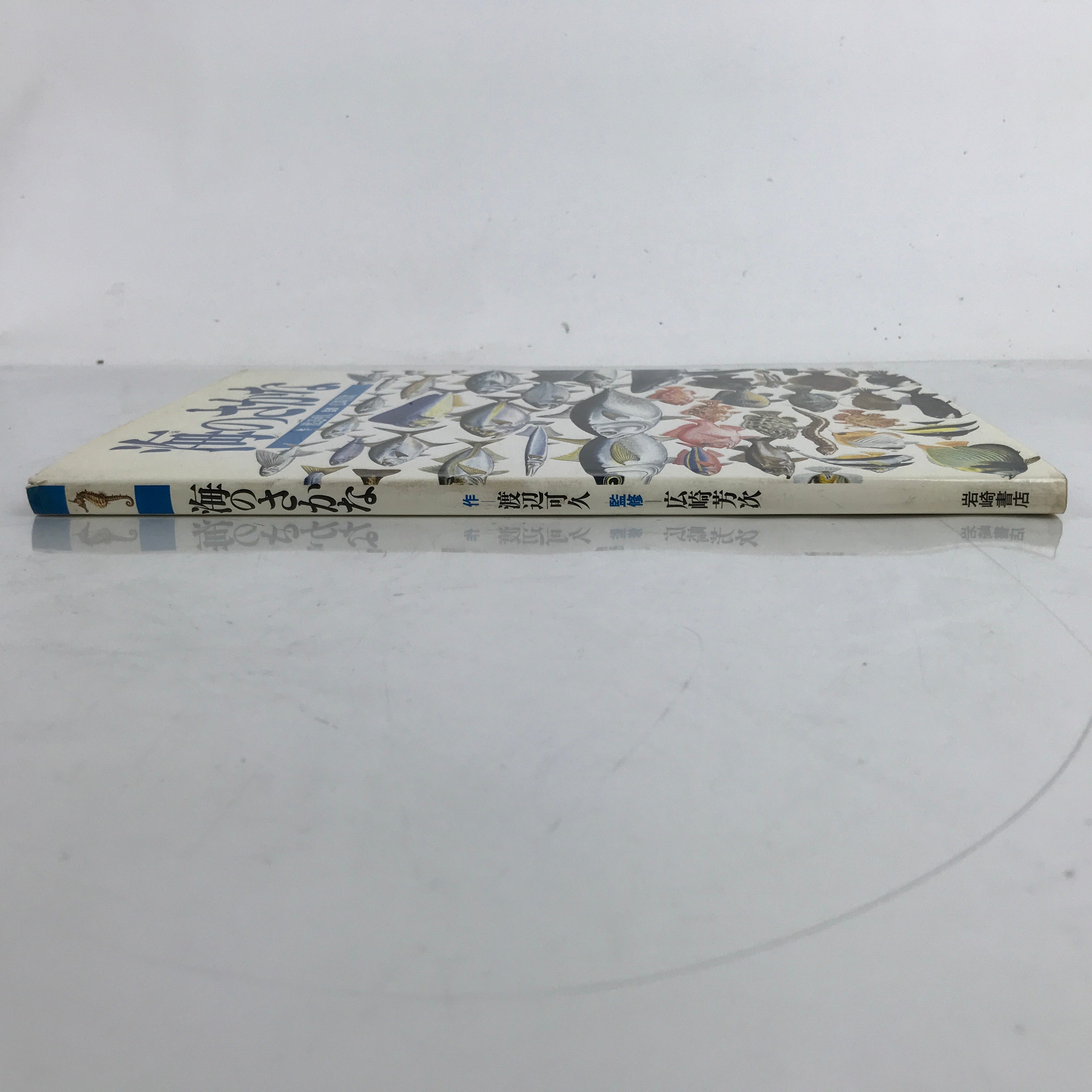 Japanese Fish Of The Sea Illustrated Book C1990 Full Color Kids Encyclopedia HN3