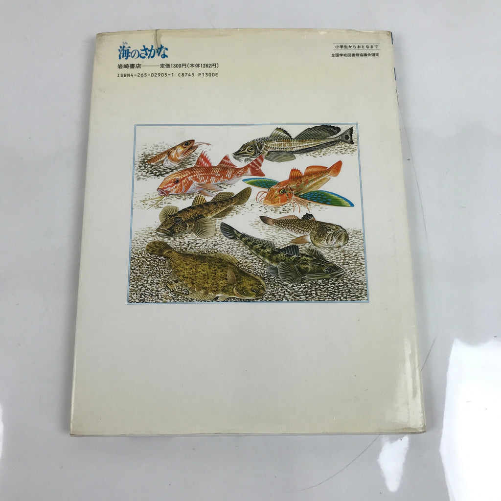 Japanese Fish Of The Sea Illustrated Book C1990 Full Color Kids Encyclopedia HN3