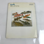 Japanese Fish Of The Sea Illustrated Book C1990 Full Color Kids Encyclopedia HN3